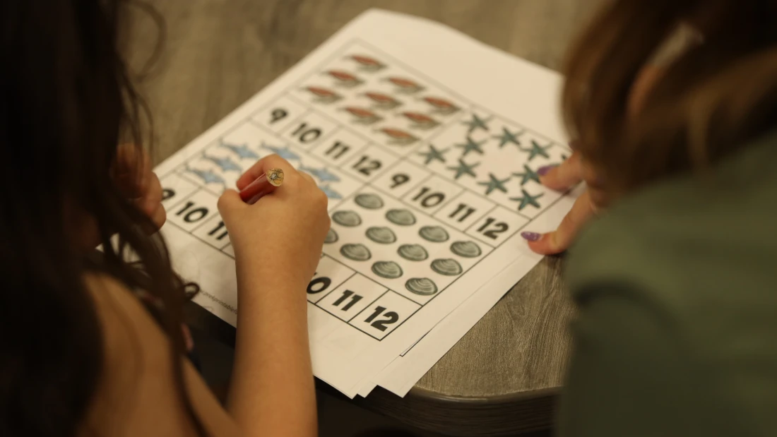 BCBA Jobs: Requirements & Career Opportunities in Behavior Analysis